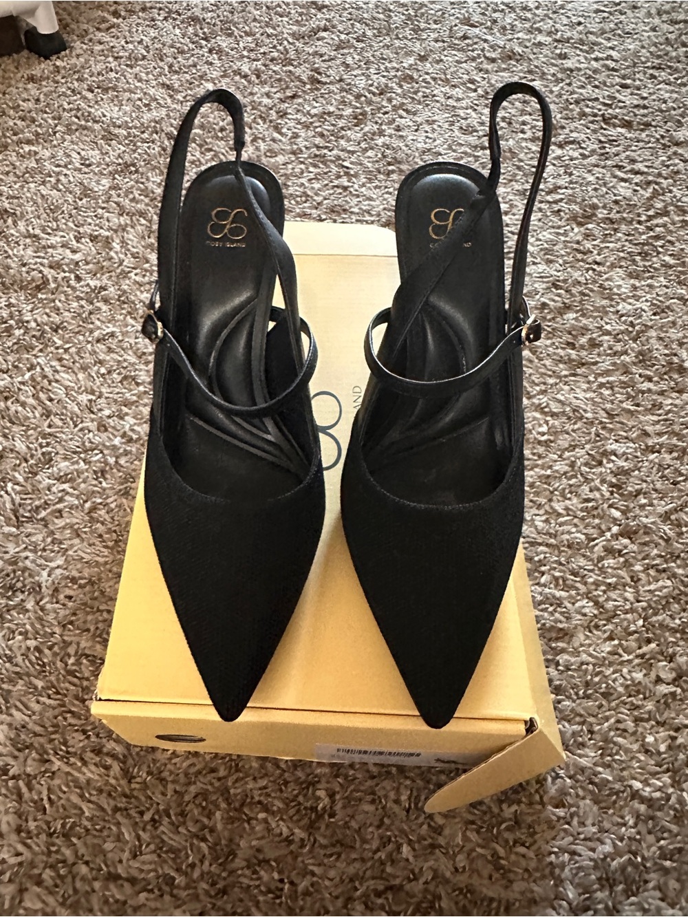 Cosy Island Black Pointed Slingback